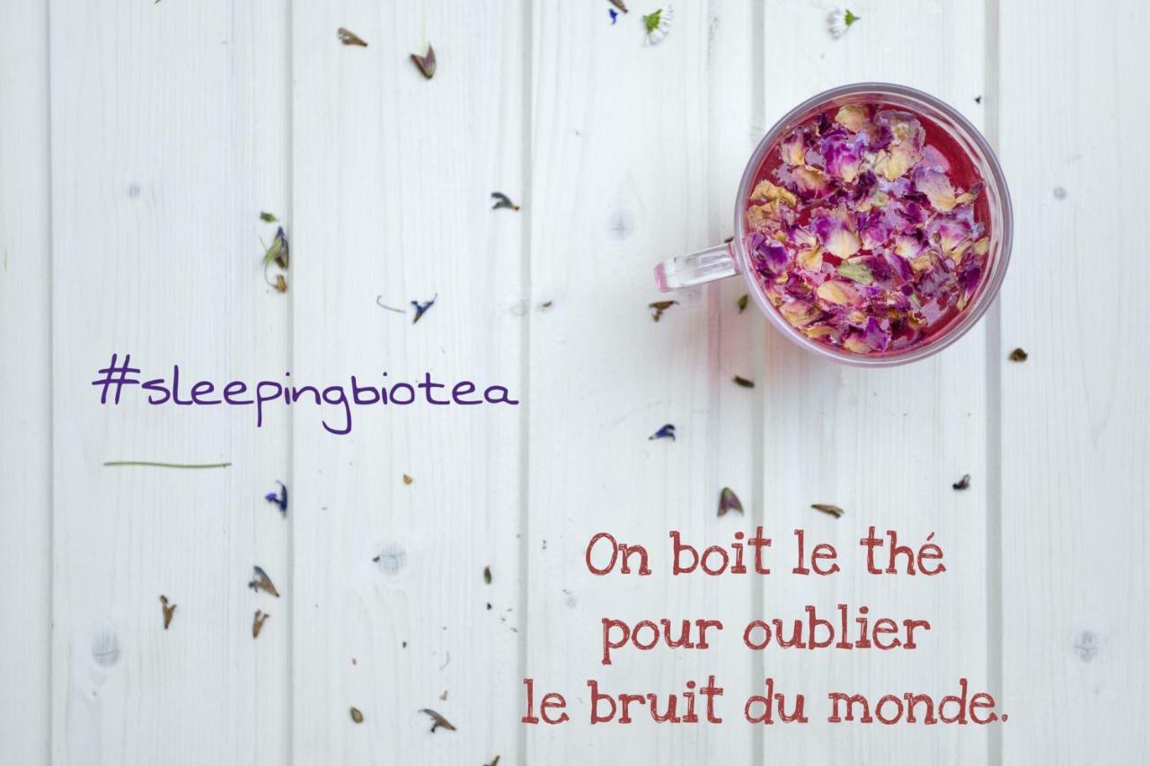 לינה וארוחת בוקר טיונוויל Sleeping Bio Tea מראה חיצוני תמונה
